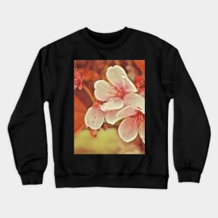 Dreaming Blossom Trio Crewneck Sweatshirt